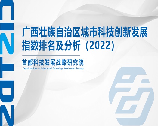 日逼视频啊啊啊免费【成果发布】广西壮族自治区城市科技创新发展指数排名及分析（2022）